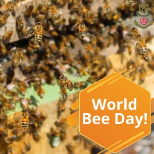 World Bee Day