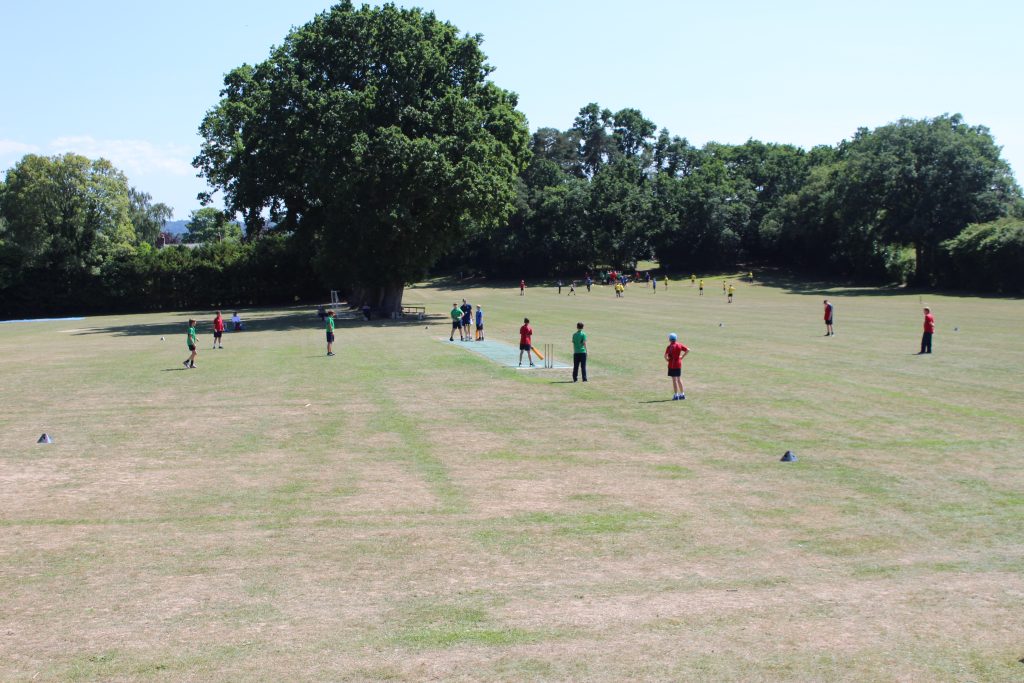 Pupils participating in a cricket game