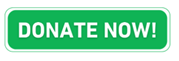 Donate now button