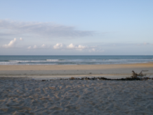 A peaceful sandy beach with gentle waves, a strip of seaweed near the shore, and a clear sky with scattered clouds over the horizon.