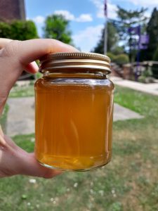 A hand holds a glass jar filled with golden honey outdoors on a sunny day, with a garden and blue sky visible in the background.