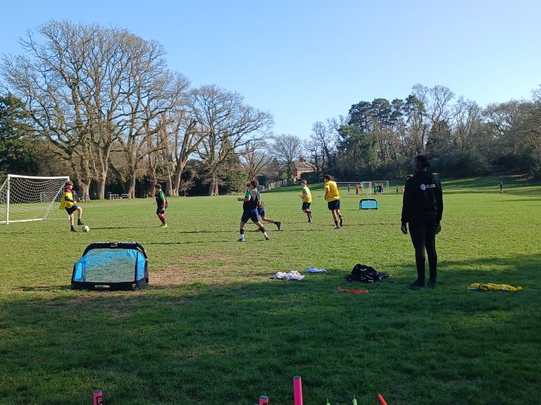 Several people play football on a grassy field while a person in dark clothing watches from the side; trees and blue sky are in the background.