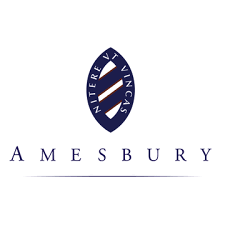 Blue and white Amesbury logo featuring a shield with diagonal stripes and the Latin motto NITERE VT VINCAS, above AMESBURY in capital letters—perfect for representing your team at a Celebrity football Match.